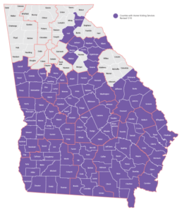 Map of Georgia counties, which counties with DPH home visiting program colored purple.